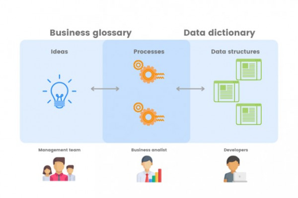 Data dictionary and business glossary