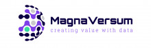 MagnaVersum BI Services