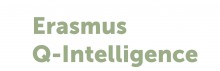 Erasmus Q-Intelligence B.V.